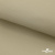 Ткань подкладочная TWILL 230T 14-1108, беж светлый 100% полиэстер,66 г/м2, шир.150 cм - купить в Абакане. Цена 90.59 руб.