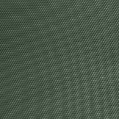 Оксфорд (Oxford) 240D 19-5917, PU/WR, 115 гр/м2, шир.150см, цвет т.зелёный - купить в Абакане. Цена 152.54 руб.