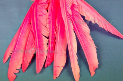 Декоративный Пучок из перьев, перо 25см/розовый - купить в Абакане. Цена: 14.40 руб.