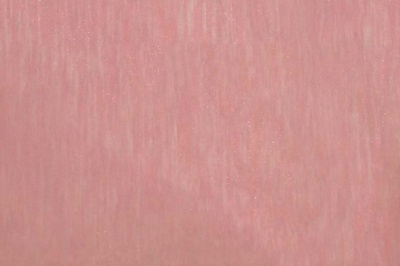 Органза однотонная "Амелия" С19 (Розовый) 280 см - купить в Абакане. Цена 303.09 руб.