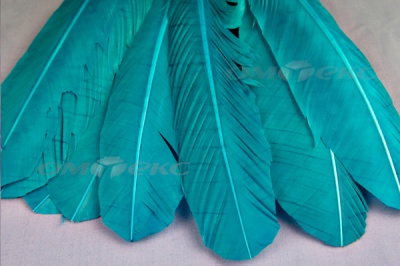 Декоративный Пучок из перьев, перо 24см/голубой - купить в Абакане. Цена: 12.19 руб.