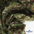 Ткань костюмная «Микровельвет велюровый принт», 220 г/м2, 97% полиэстр, 3% спандекс, ш. 150См Цв  #9 - купить в Абакане. Цена 439.76 руб.