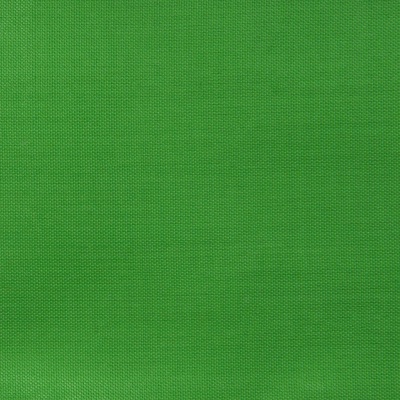 Ткань подкладочная Таффета 17-6153, 48 гр/м2, шир.150см, цвет трава - купить в Абакане. Цена 54.64 руб.