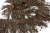 008-коричневый, Бахрома арт.001 шир.10см (упак.12+/-0,5м) - купить в Абакане. Цена: 1 017.33 руб.