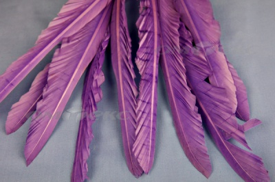Декоративный Пучок из перьев, перо 25см/фиолетовый - купить в Абакане. Цена: 12.19 руб.