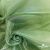 Ткань органза, 100% полиэстр, 28г/м2, шир. 150 см, цв. #27 зеленый - купить в Абакане. Цена 86.24 руб.