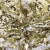 Трикотажное полотно, Сетка с пайетками, шир.130 см, #315, цв.-белый/золото - купить в Абакане. Цена 693.39 руб.
