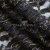 Кружевное полотно XD LACE 1-4, 80 гр/м2, шир.150см, цвет чёрный - купить в Абакане. Цена 245.94 руб.